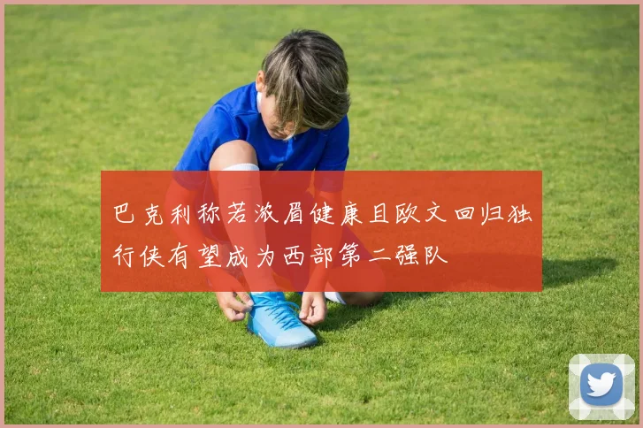 巴克利称若浓眉健康且欧文回归独行侠有望成为西部第二强队