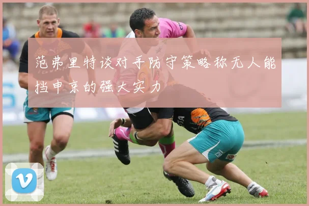 范弗里特谈对手防守策略称无人能挡申京的强大实力
